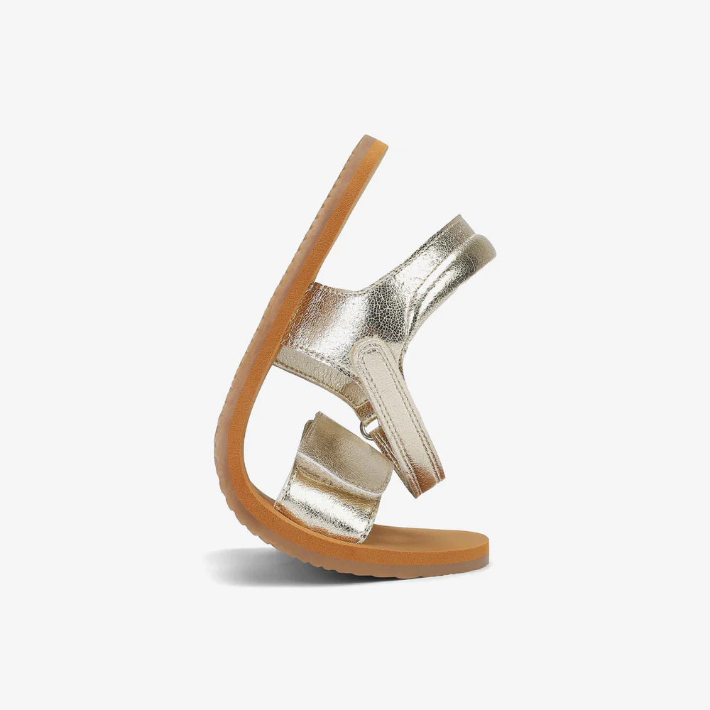 Saguaro - Sandalias Glow I Barefoot - Dorado